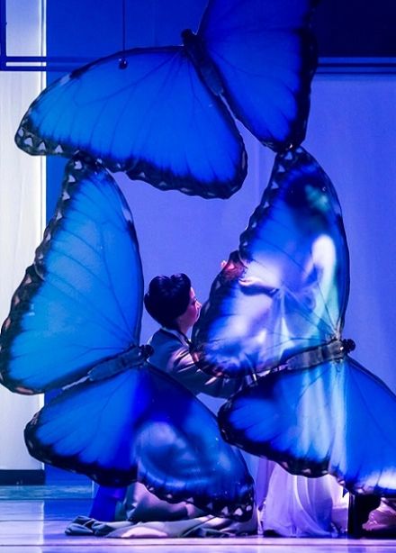 Мадам Баттерфляй