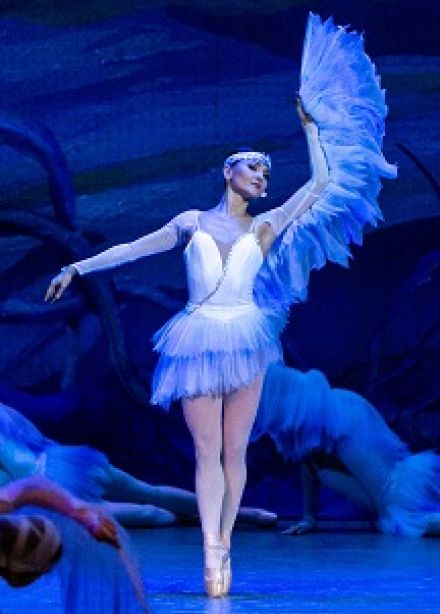 Дорога лебедей